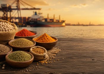 Indian pulses and spices CIF Misurata Benghazi Libya — chickpeas cumin turmeric chilli powder