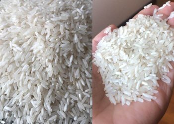 Pakistan Irri-6 long grain silky sortex broken rice CNF Shekou Qingdao Shanghai China Manila Philippines August 2026