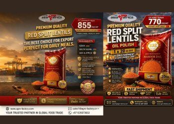 Red split lentils Masoor Dal oil polish CIF Mombasa Kenya and Port Sudan adas ahmar