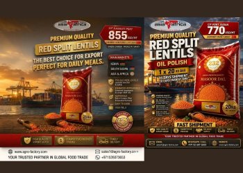 Red split lentils Masoor Dal oil polish CIF Mombasa Kenya and Port Sudan adas ahmar