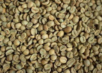 Vietnamese green coffee beans premium export grade 60kg jute bag AED 1035 ready stock Dubai UAE